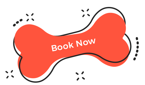 https://zoomieworld.com/wp-content/uploads/2019/08/book_now.png
