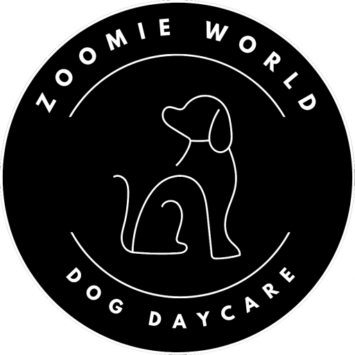 Services-Pricing – ZOOMIE WORLD DOG DAYCARE